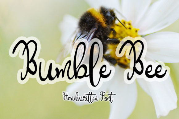 Bumble Bee Script Font for Web Design