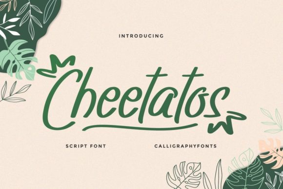 Cheetatos: A Playful Script Font for Web Design