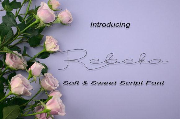 Rebeca: A Delicate Script Font for Modern Campaigns