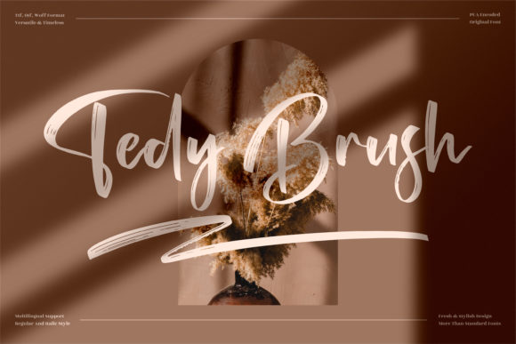 Tedy Brush: A Delicate Script Font for Polished Branding