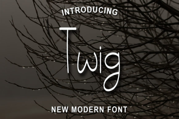 Twig: A Handwritten Font That Elevates Campaign Design