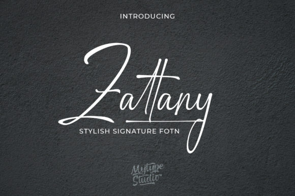 Zattany: The Vintage Script Font That Elevates Your Campaigns